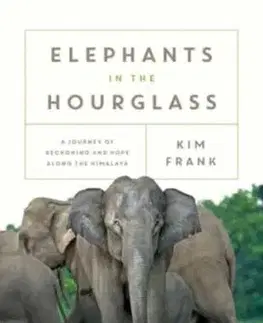 Elephants in the Hourglass - Kim Frank