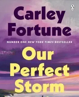 Our Perfect Storm - Carley Fortune