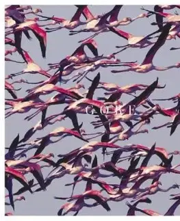 Deftones - Gore CD - Deftones