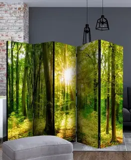 Paraván Forest Rays Dekorhome