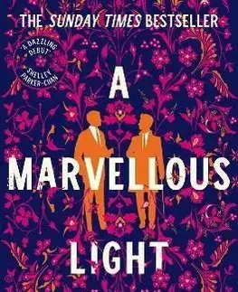 A Marvellous Light - Freya Marske