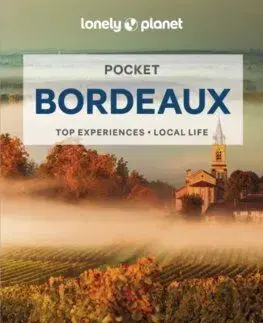 Pocket Bordeaux 3