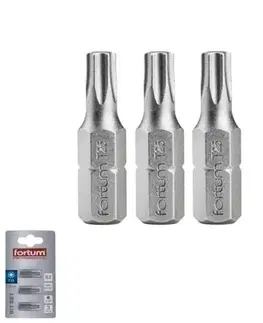 FORTUM Bity Torx TX 25x25mm 3ks, S2