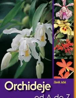 Orchideje od A do Z - Zdeněk Ježek