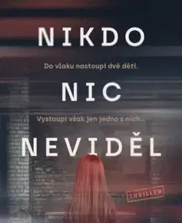 Nikdo nic neviděl - Andrea Mara