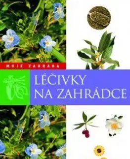 Léčivky na zahrádce