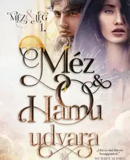 Méz és jég 1: Méz és hamu udvara - Shannon Mayer, Kelly St. Clare