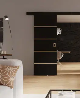 KIER Posuvné dvere WERDI DUO PLUS | 172 cm Farba: jaseň tmavý