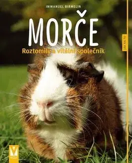 Morče - Immanuel Birmelin
