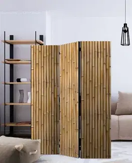 Paraván Amazonian Wall Dekorhome