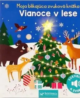 Moja blikajúca zvuková knižka - Vianoce v lese - Kasia Dudziuk, Maria Hoeck