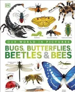 Our World in Pictures Bugs, Butterflies, Beetles and Bees - Ben Ffrancon Dowds, Andrea Mills, Lizzie Munsey
