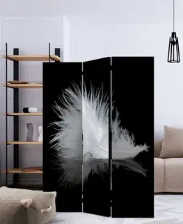 Paraván White feather Dekorhome