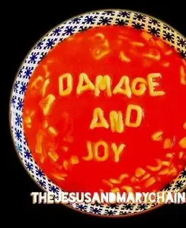 Jesus & Mary Chain - Damage and Joy CD - The