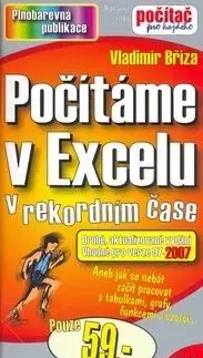 Počítáme v Excelu - Vladimír Bříza