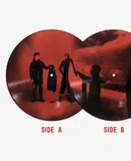 Twenty One Pilots - Breach (Picture) LP - Twenty One Pilots