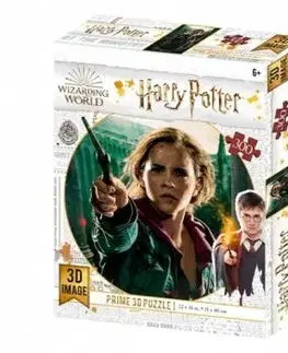 3D puzzle Harry Potter: Hermione Granger 300 dielikov