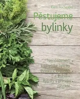Pěstujeme bylinky - Karin Hochegger