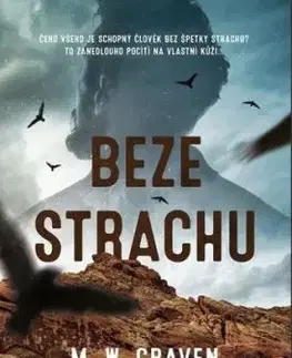 Beze strachu - M. W. Craven