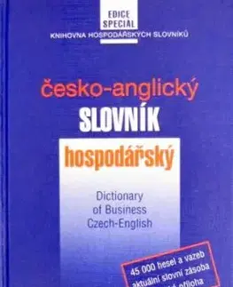 Česko-anglický slovník hospodářský - Marcela Straková