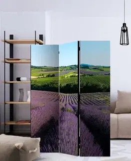 Paraván Lavender fields Dekorhome