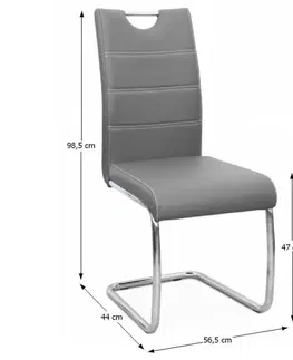 KONDELA Abira New jedálenská stolička svetlosivá / chrómová