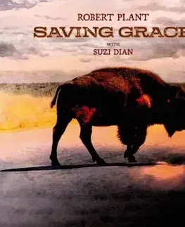 Plant Robert - Saving Grace (Black & Red) LP - Robert Plant