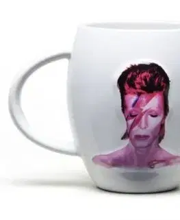 David Bowie: Aladin Sane ovální hrnek 475 ml