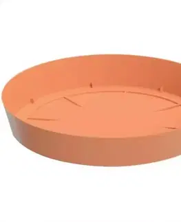 Podmiska Lofly PPLF230 R624