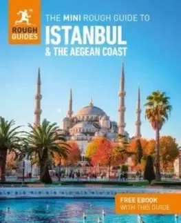 The Mini Rough Guide to Istanbul and the Aegean Coast: Travel Guide with eBook - Daniel Stables, Guides Rough
