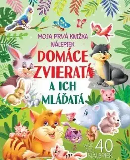 Domáce zvieratá a ich mláďatá