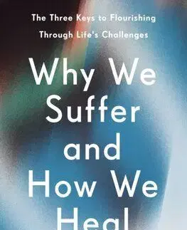 Why We Suffer and How We Heal - Suzan Song