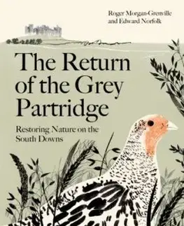 The Return of the Grey Partridge - Edward Norfolk, Roger Morgan-Grenville