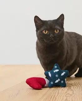 Hračka pre mačky