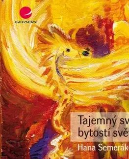 Tajemný svět bytostí světla - Hana Semeráková