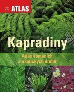 Kapradiny - Miroslav Studnička
