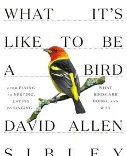 What It's Like to be a Bird - David Sibley