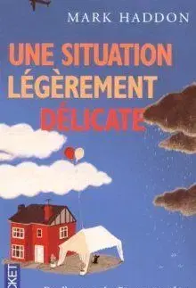 Une Situation Legerement Delicate - Mark Haddon