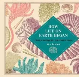How Life on Earth Began - Aina Bestard