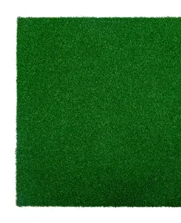 inSPORTline Grasteko 50x50x2 cm