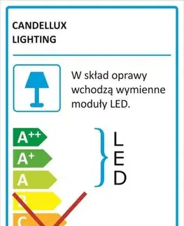 Stropná lampa Duca Stropná lampa LED 6500K Bezfarebná