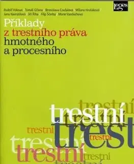 Příklady z trestního práva hmotného a procesního - Rudolf Vokoun