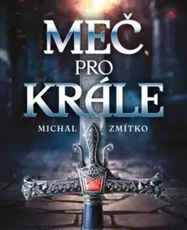 Meč pro krále - Michal Zmítko
