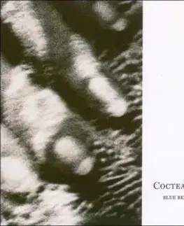 Cocteau Twins - Blue Bell Knoll LP - Cocteau Twins