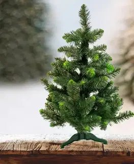 Vianočný stromček borovica zelené konce 80 cm