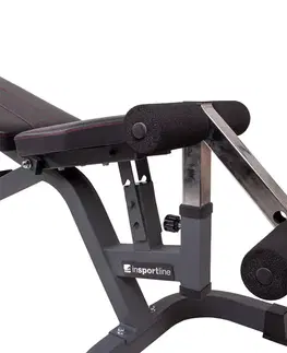 inSPORTline Profi Sit up bench