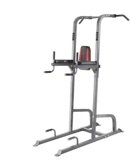 inSPORTline Power Tower PT300