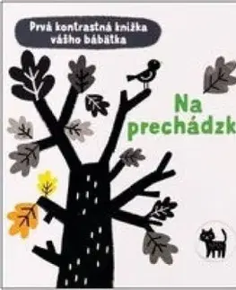 Prvá kontrastná knižka vášho bábätka: Na prechádzke - Mary Cartwright