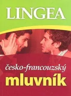 Česko-francouzský mluvník