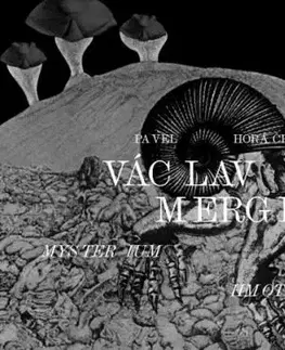 Václav Mergl – Mysterium hmoty - Pavel Horáček